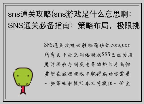 sns通关攻略(sns游戏是什么意思啊：SNS通关必备指南：策略布局，极限挑战)